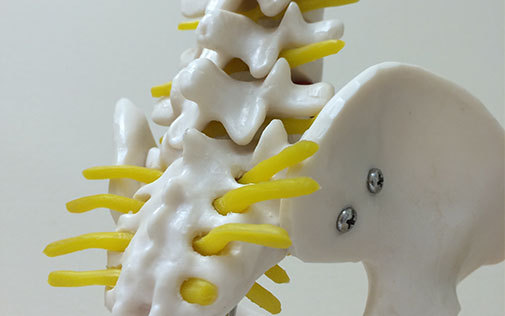 Free Chiropractic Health Check (CHC)